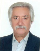 Mahmood Tamizi