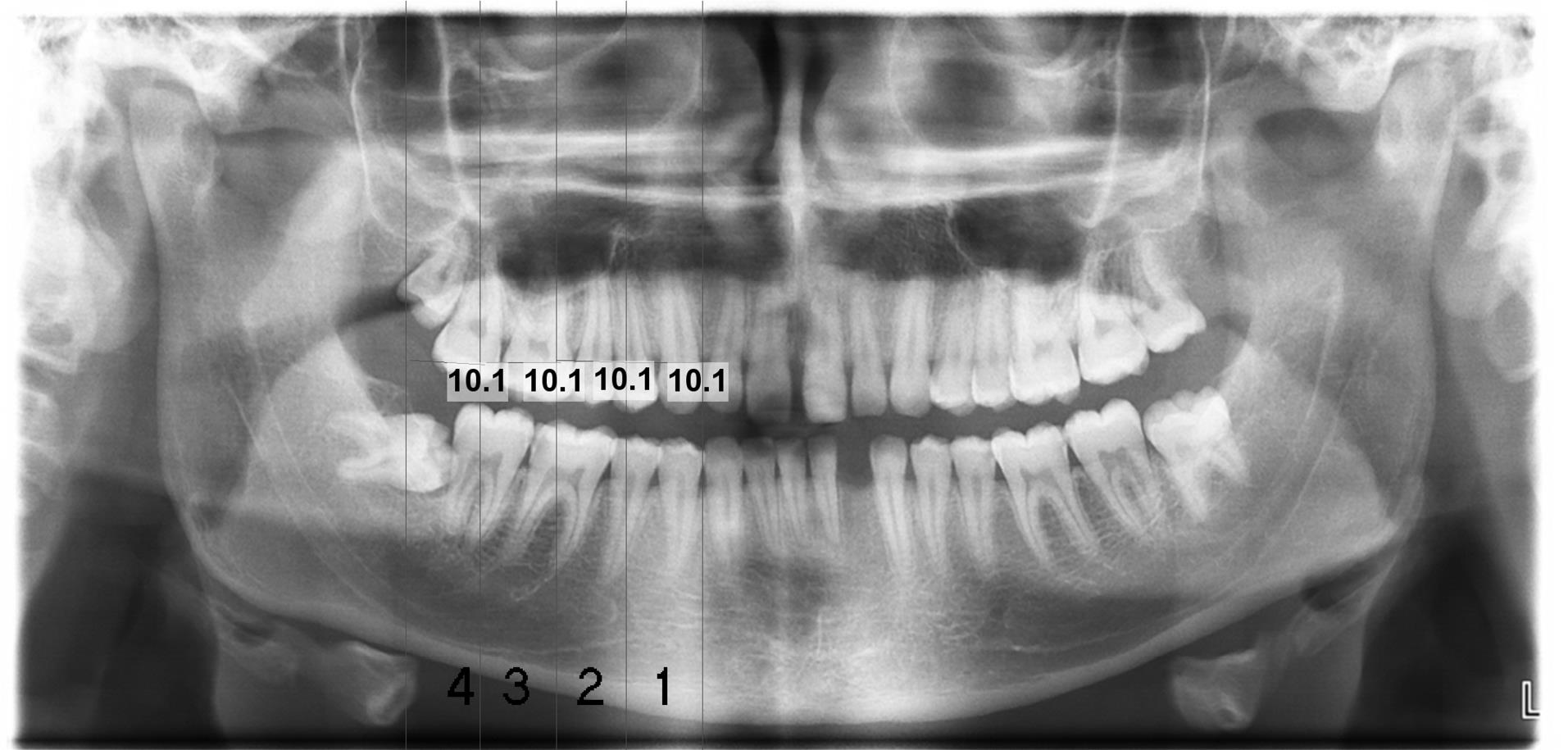 ajdr-16-189-g001