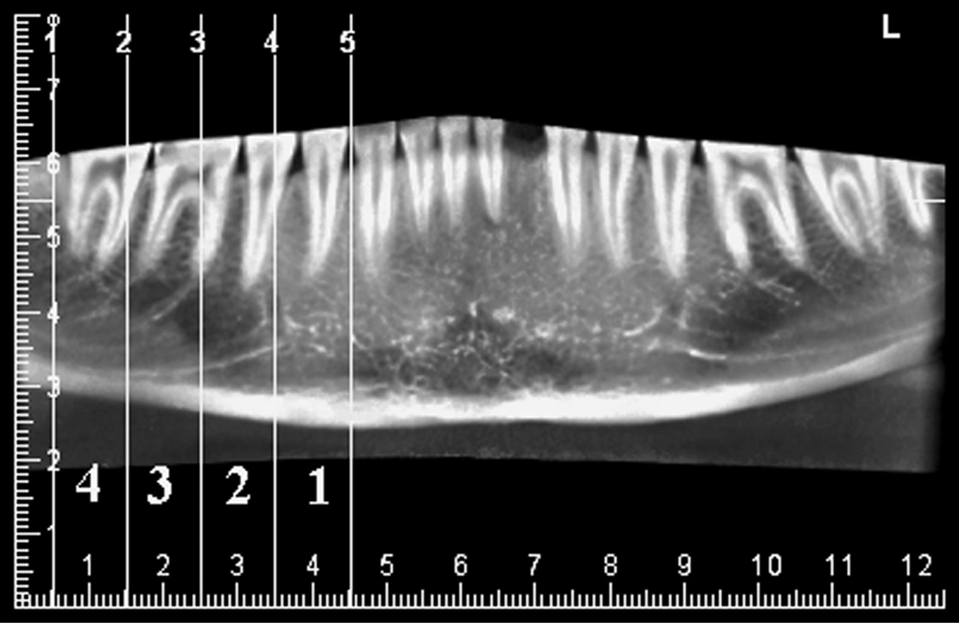 ajdr-16-189-g002