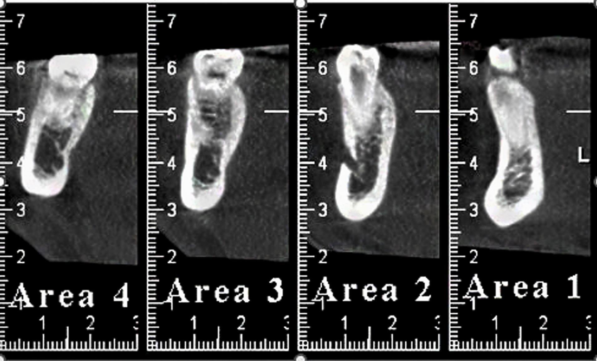 ajdr-16-189-g003