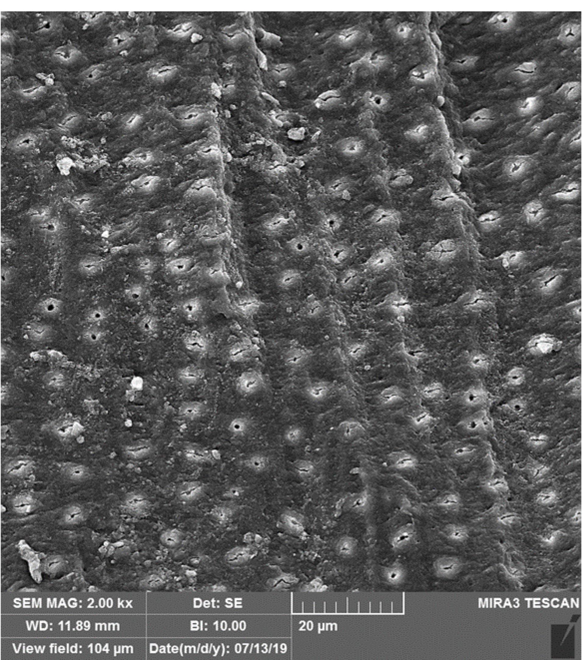ajdr-16-218-g003