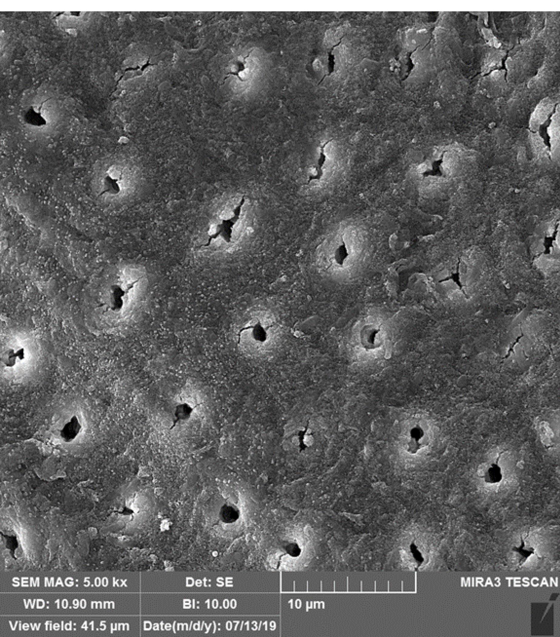 ajdr-16-218-g004