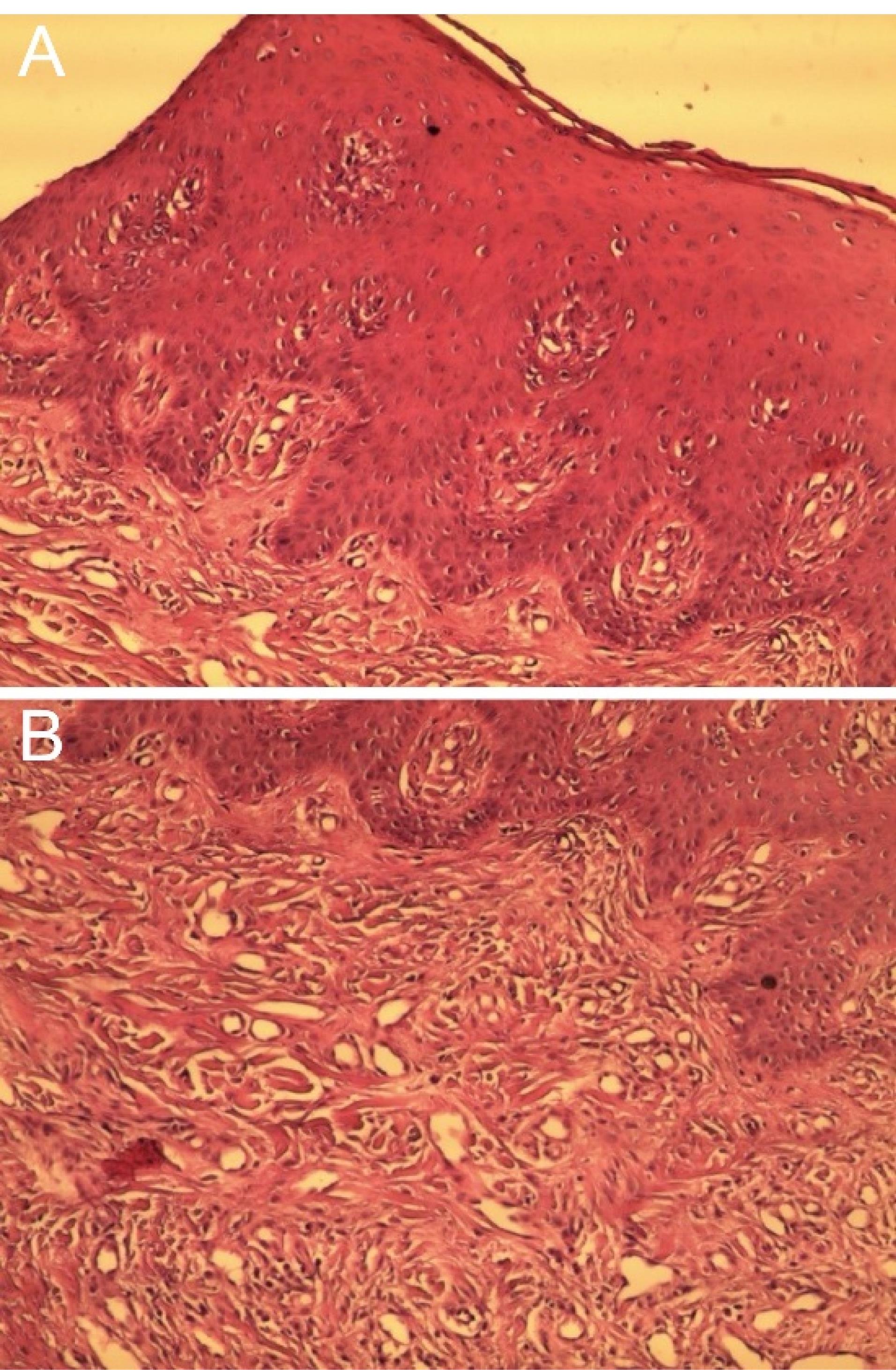 ajdr-16-238-g002