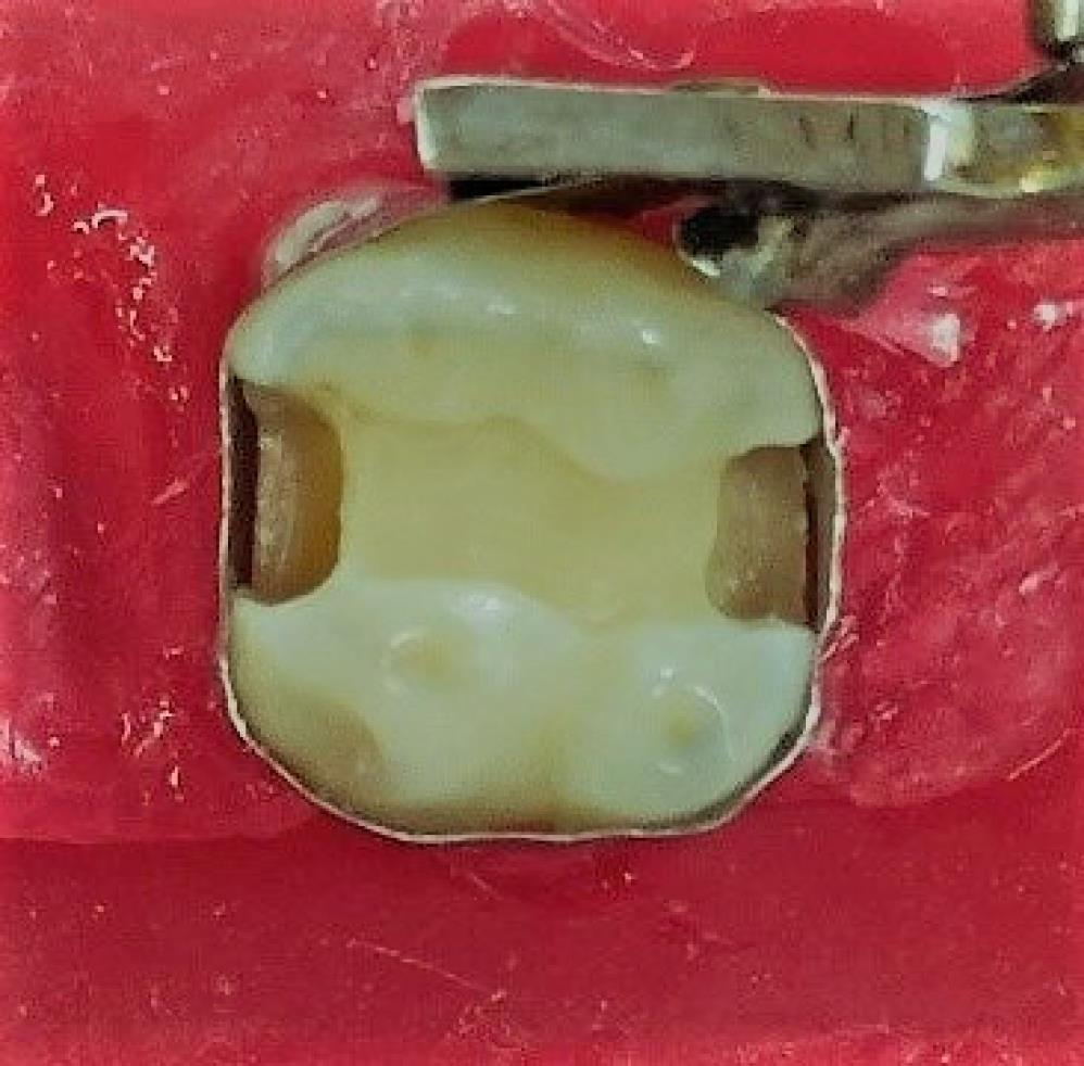 ajdr-17-101-g001